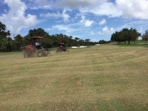 Because its new Celebration Bermudagrass grows more rapidly in the Florida summer, Riviera CC has increased its use of growth regulators, so its grounds staff can maintain a three-day mowing schedule for fairways, tees and approaches. 