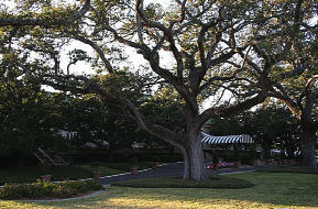 Clubhouse_fmt