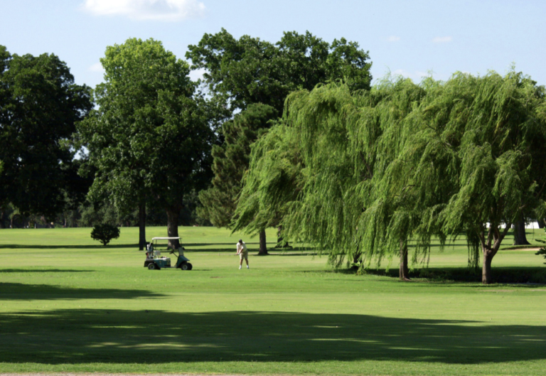 Municipalities Strengthen Golf Assets Club + Resort Business